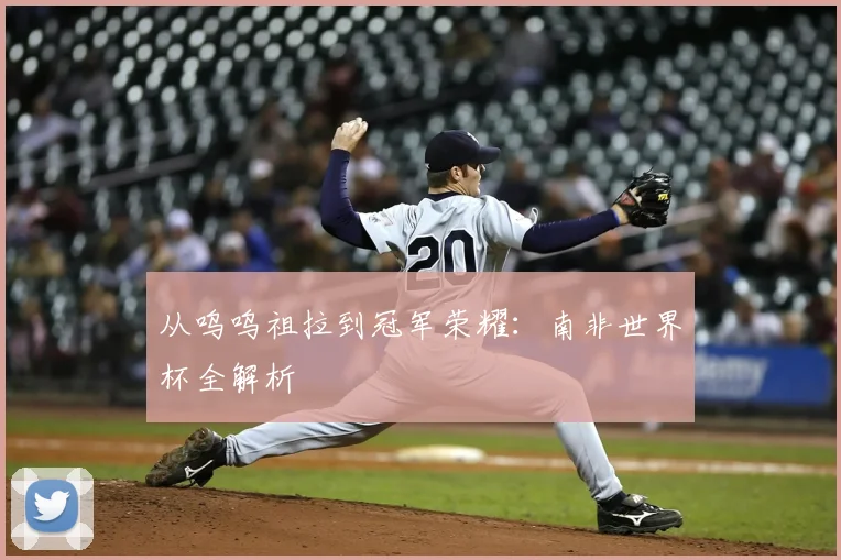 从呜呜祖拉到冠军荣耀：南非世界杯全解析